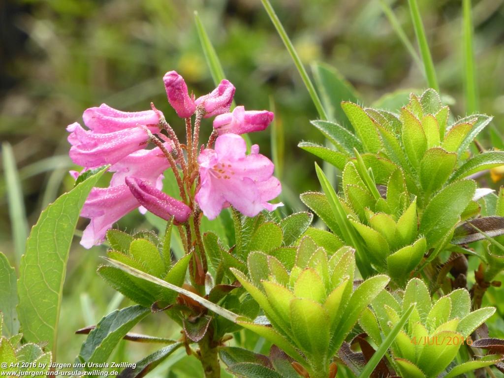 Gipfeltraumtour von Neuhaus auf die Brecherspitze und Josefsthaler Wasserfälle - Schliersee - Tegernsee