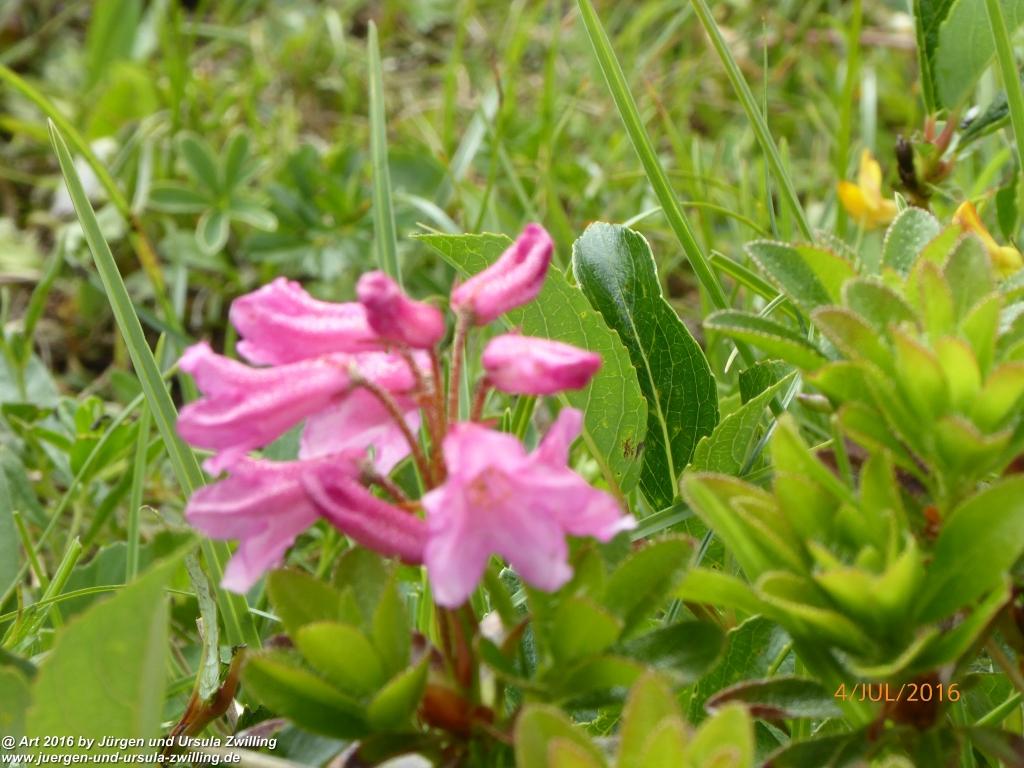 Gipfeltraumtour von Neuhaus auf die Brecherspitze und Josefsthaler Wasserfälle - Schliersee - Tegernsee
