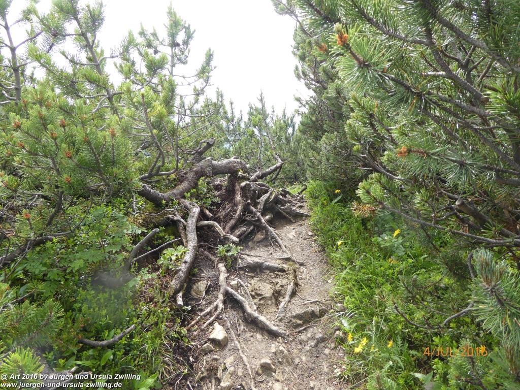 Gipfeltraumtour von Neuhaus auf die Brecherspitze und Josefsthaler Wasserfälle - Schliersee - Tegernsee