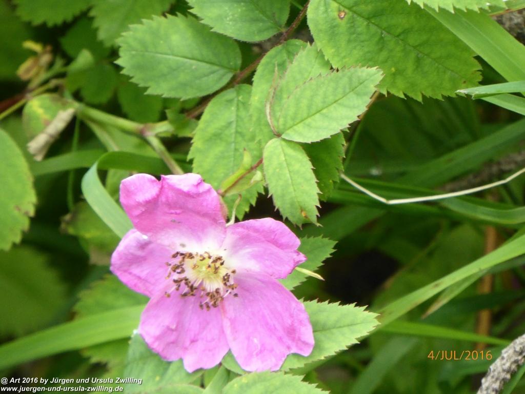 Gipfeltraumtour von Neuhaus auf die Brecherspitze und Josefsthaler Wasserfälle - Schliersee - Tegernsee