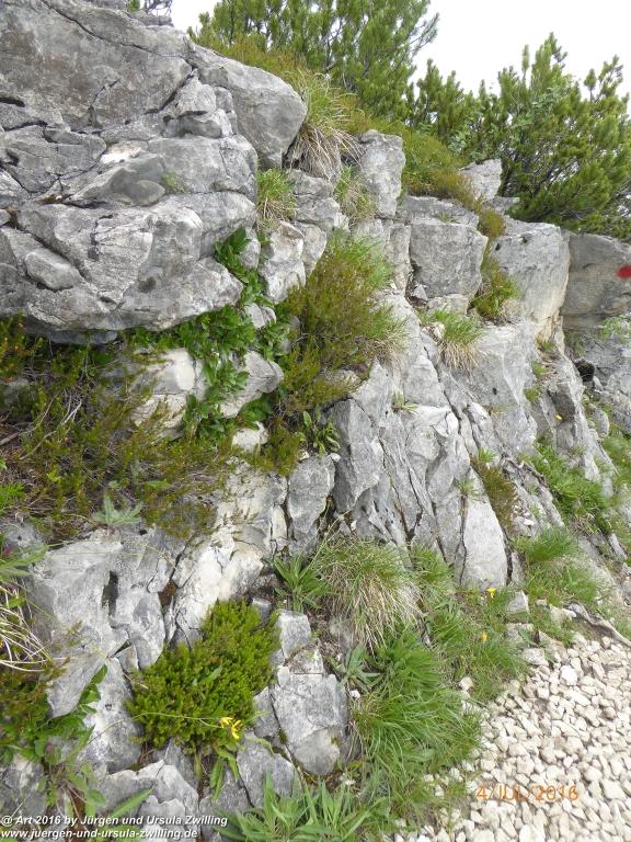 Gipfeltraumtour von Neuhaus auf die Brecherspitze und Josefsthaler Wasserfälle - Schliersee - Tegernsee
