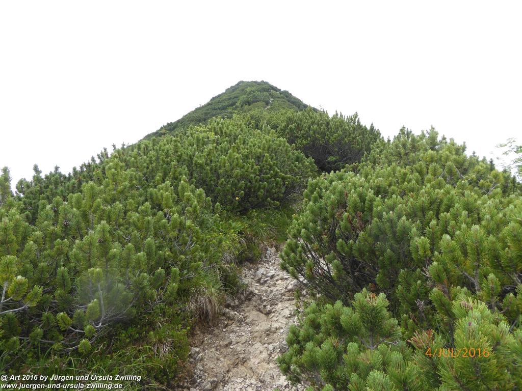 Gipfeltraumtour von Neuhaus auf die Brecherspitze und Josefsthaler Wasserfälle - Schliersee - Tegernsee