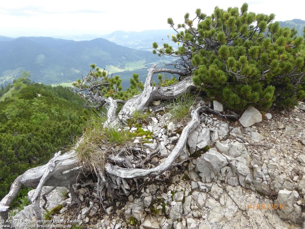 Gipfeltraumtour von Neuhaus auf die Brecherspitze und Josefsthaler Wasserfälle - Schliersee - Tegernsee