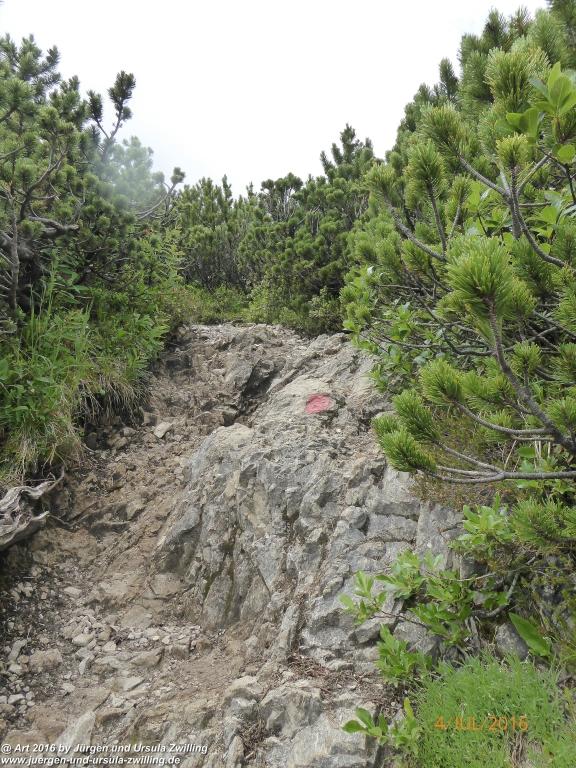 Gipfeltraumtour von Neuhaus auf die Brecherspitze und Josefsthaler Wasserfälle - Schliersee - Tegernsee