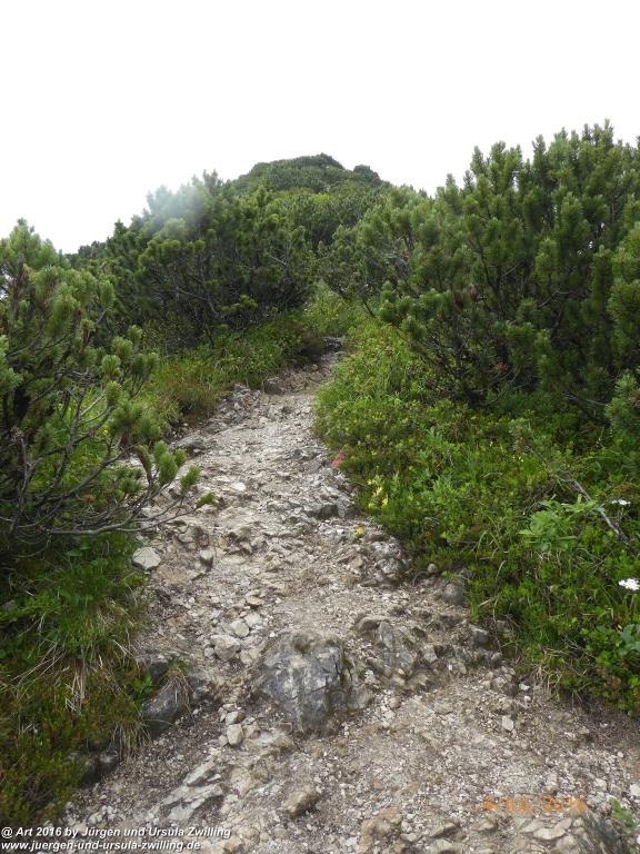 Gipfeltraumtour von Neuhaus auf die Brecherspitze und Josefsthaler Wasserfälle - Schliersee - Tegernsee