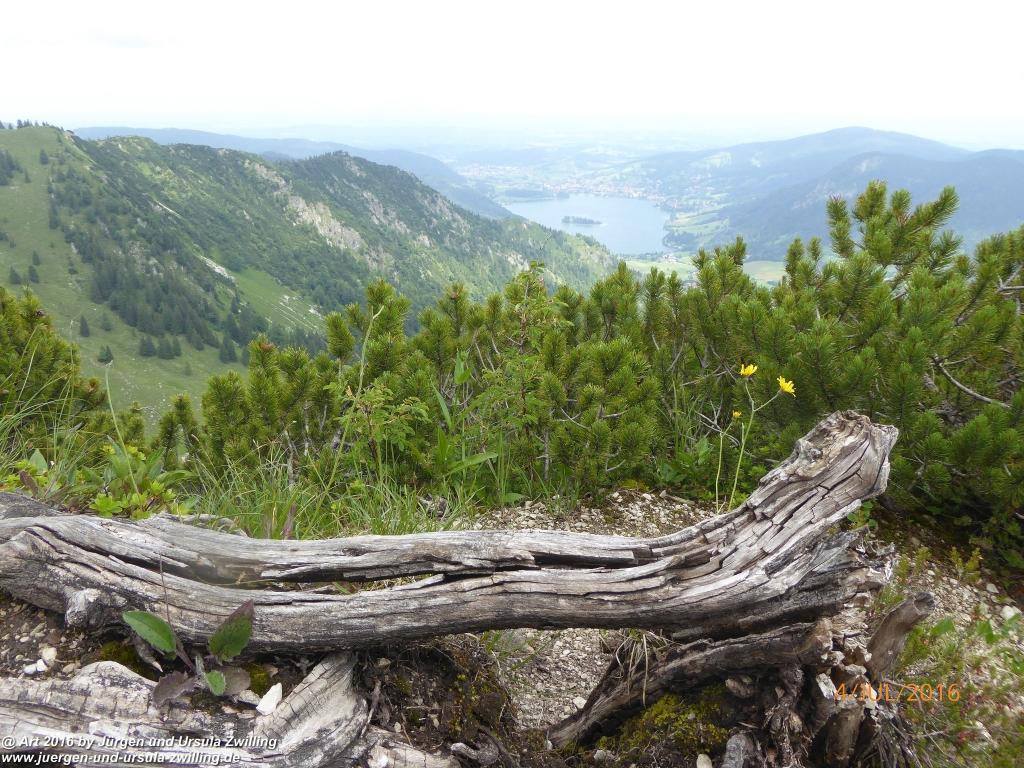 Gipfeltraumtour von Neuhaus auf die Brecherspitze und Josefsthaler Wasserfälle - Schliersee - Tegernsee