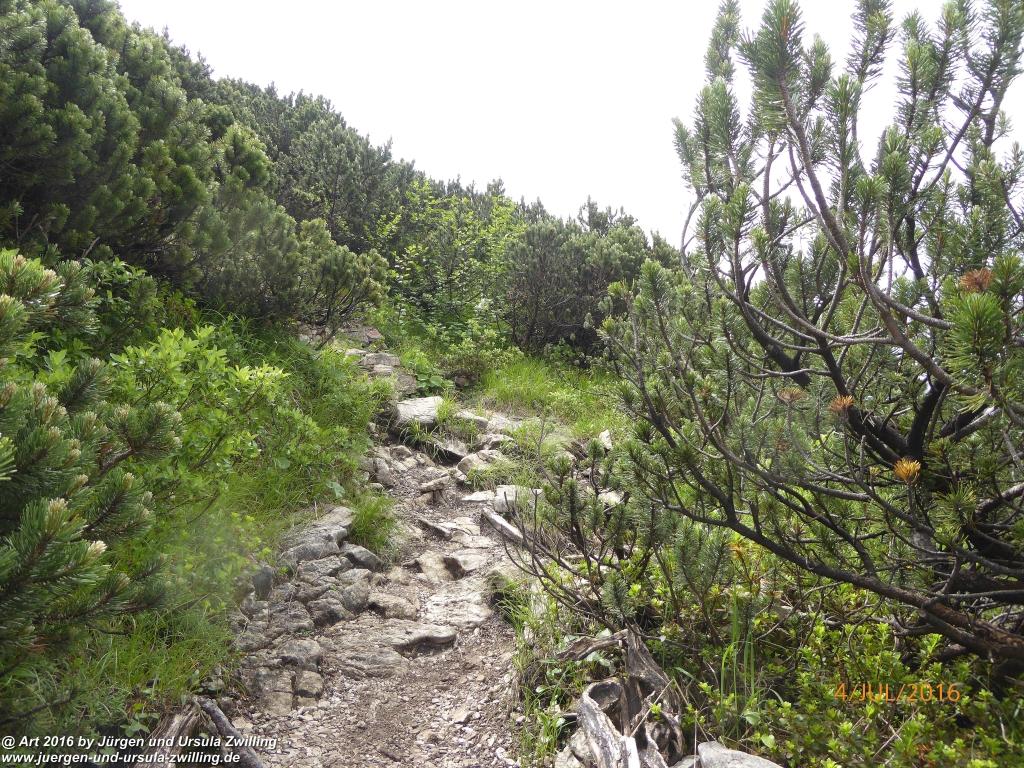 Gipfeltraumtour von Neuhaus auf die Brecherspitze und Josefsthaler Wasserfälle - Schliersee - Tegernsee