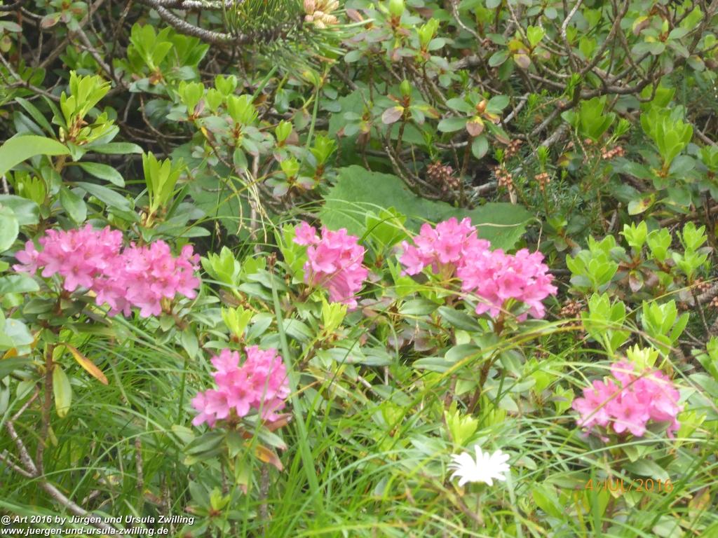 Gipfeltraumtour von Neuhaus auf die Brecherspitze und Josefsthaler Wasserfälle - Schliersee - Tegernsee