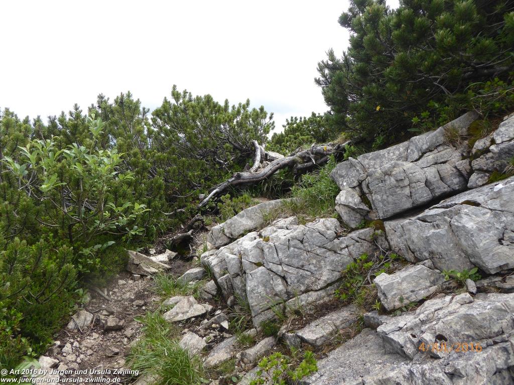 Gipfeltraumtour von Neuhaus auf die Brecherspitze und Josefsthaler Wasserfälle - Schliersee - Tegernsee