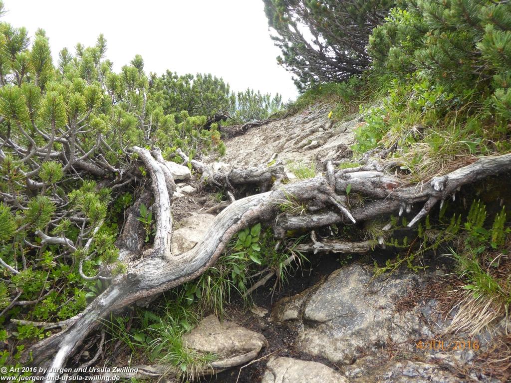 Gipfeltraumtour von Neuhaus auf die Brecherspitze und Josefsthaler Wasserfälle - Schliersee - Tegernsee