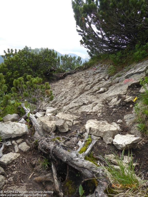 Gipfeltraumtour von Neuhaus auf die Brecherspitze und Josefsthaler Wasserfälle - Schliersee - Tegernsee