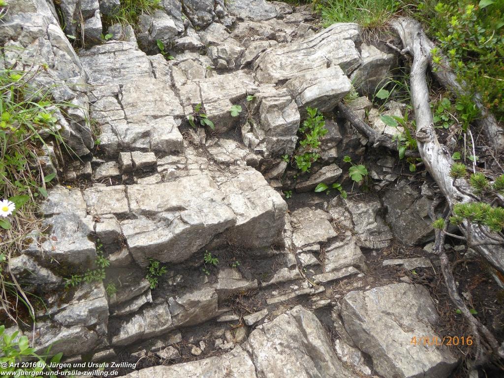 Gipfeltraumtour von Neuhaus auf die Brecherspitze und Josefsthaler Wasserfälle - Schliersee - Tegernsee