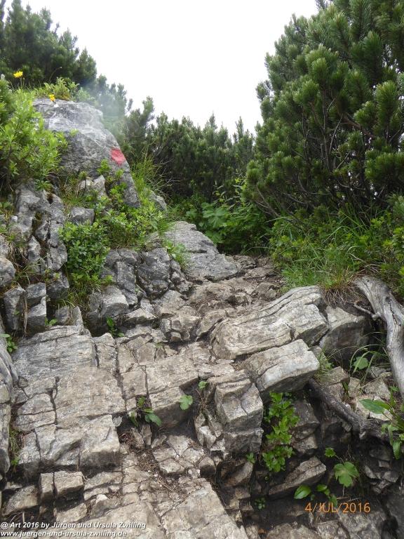 Gipfeltraumtour von Neuhaus auf die Brecherspitze und Josefsthaler Wasserfälle - Schliersee - Tegernsee