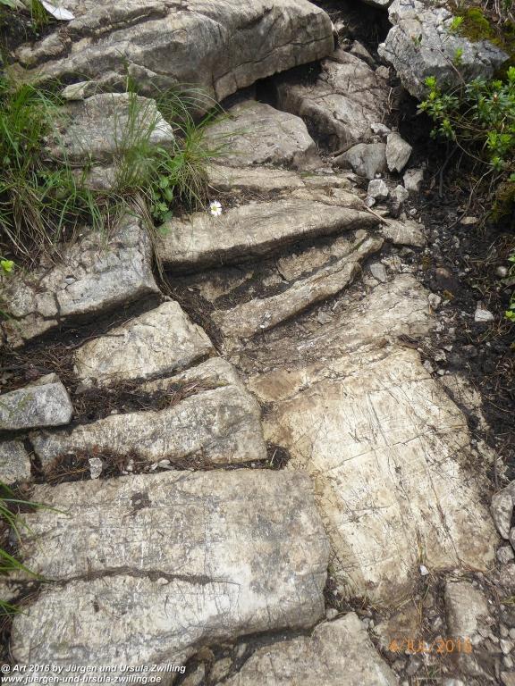 Gipfeltraumtour von Neuhaus auf die Brecherspitze und Josefsthaler Wasserfälle - Schliersee - Tegernsee
