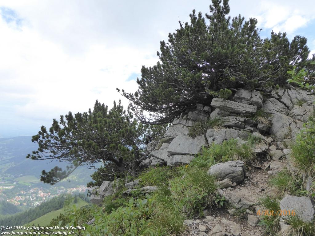 Gipfeltraumtour von Neuhaus auf die Brecherspitze und Josefsthaler Wasserfälle  - Schliersee - Tegernsee