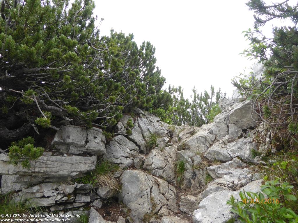 Gipfeltraumtour von Neuhaus auf die Brecherspitze und Josefsthaler Wasserfälle - Schliersee - Tegernsee