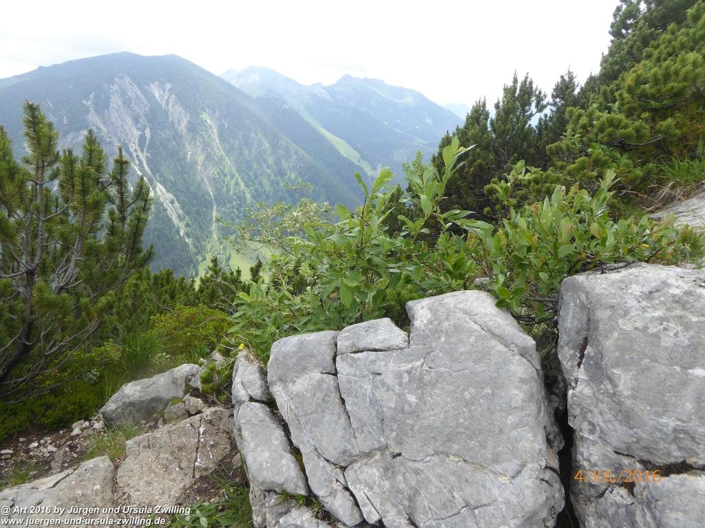 Gipfeltraumtour von Neuhaus auf die Brecherspitze und Josefsthaler Wasserfälle - Schliersee - Tegernsee