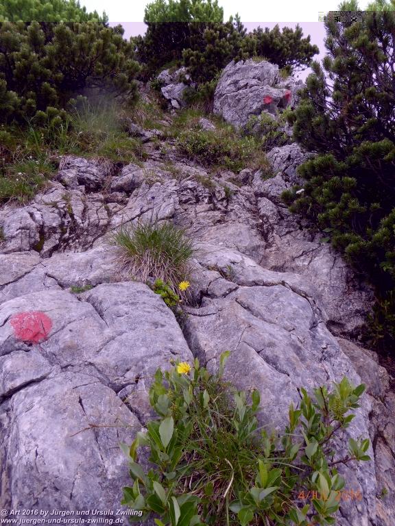 Gipfeltraumtour von Neuhaus auf die Brecherspitze und Josefsthaler Wasserfälle - Schliersee - Tegernsee