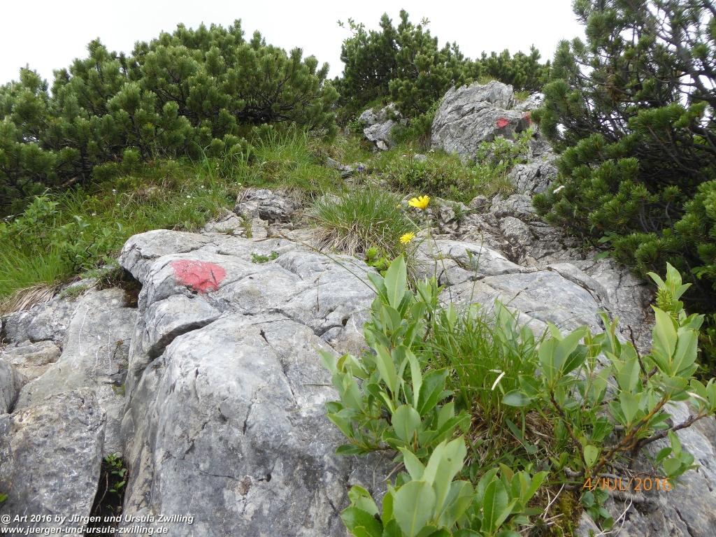 Gipfeltraumtour von Neuhaus auf die Brecherspitze und Josefsthaler Wasserfälle - Schliersee - Tegernsee