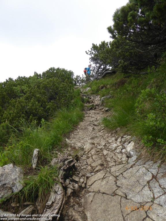 Gipfeltraumtour von Neuhaus auf die Brecherspitze und Josefsthaler Wasserfälle  - Schliersee - Tegernsee