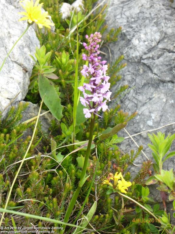 Gipfeltraumtour von Neuhaus auf die Brecherspitze und Josefsthaler Wasserfälle - Schliersee - Tegernsee
