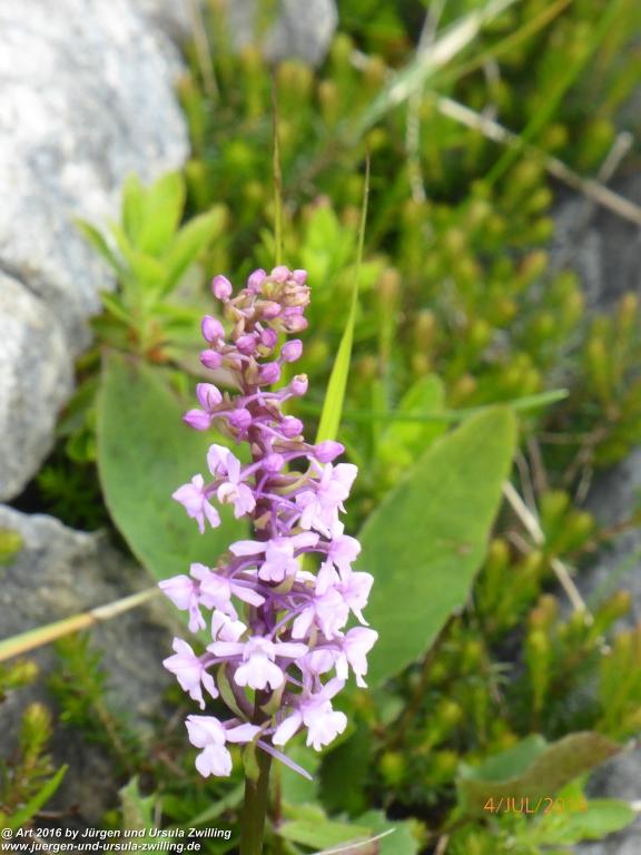 Gipfeltraumtour von Neuhaus auf die Brecherspitze und Josefsthaler Wasserfälle - Schliersee - Tegernsee