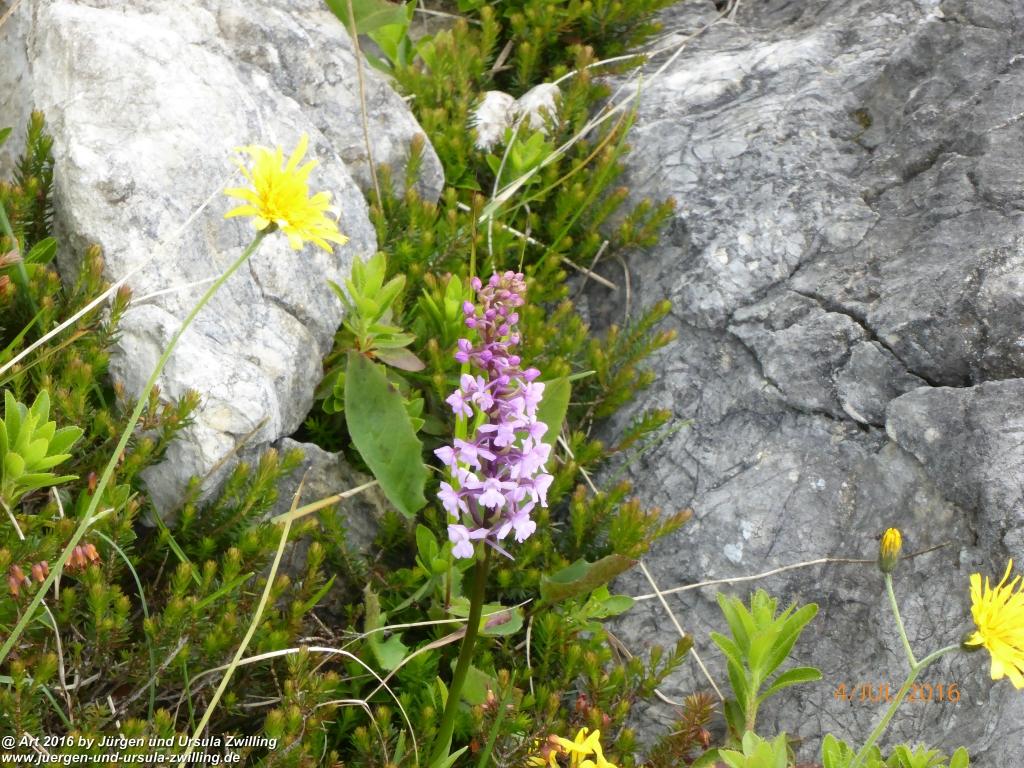 Gipfeltraumtour von Neuhaus auf die Brecherspitze und Josefsthaler Wasserfälle - Schliersee - Tegernsee