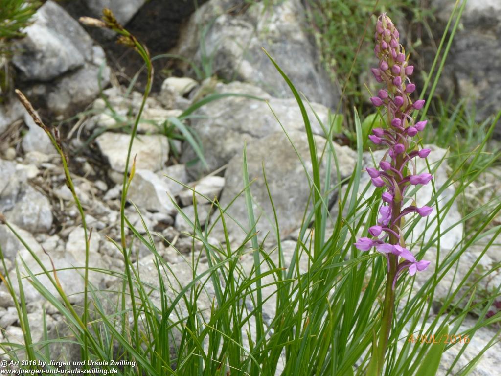 Gipfeltraumtour von Neuhaus auf die Brecherspitze und Josefsthaler Wasserfälle - Schliersee - Tegernsee