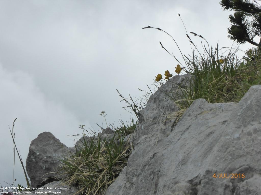 Gipfeltraumtour von Neuhaus auf die Brecherspitze und Josefsthaler Wasserfälle - Schliersee - Tegernsee
