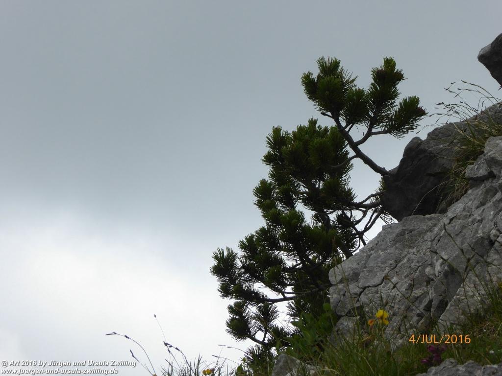 Gipfeltraumtour von Neuhaus auf die Brecherspitze und Josefsthaler Wasserfälle - Schliersee - Tegernsee