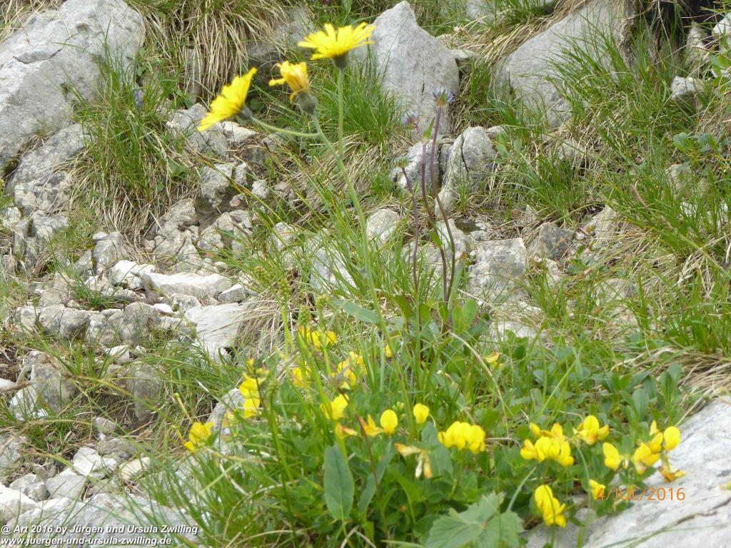 Gipfeltraumtour von Neuhaus auf die Brecherspitze und Josefsthaler Wasserfälle - Schliersee - Tegernsee