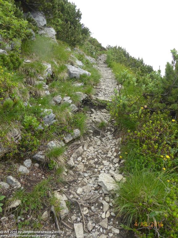Gipfeltraumtour von Neuhaus auf die Brecherspitze und Josefsthaler Wasserfälle - Schliersee - Tegernsee