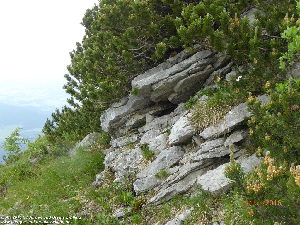 Gipfeltraumtour von Neuhaus auf die Brecherspitze und Josefsthaler Wasserfälle - Schliersee - Tegernsee