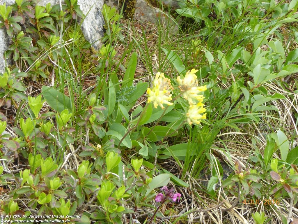 Gipfeltraumtour von Neuhaus auf die Brecherspitze und Josefsthaler Wasserfälle - Schliersee - Tegernsee