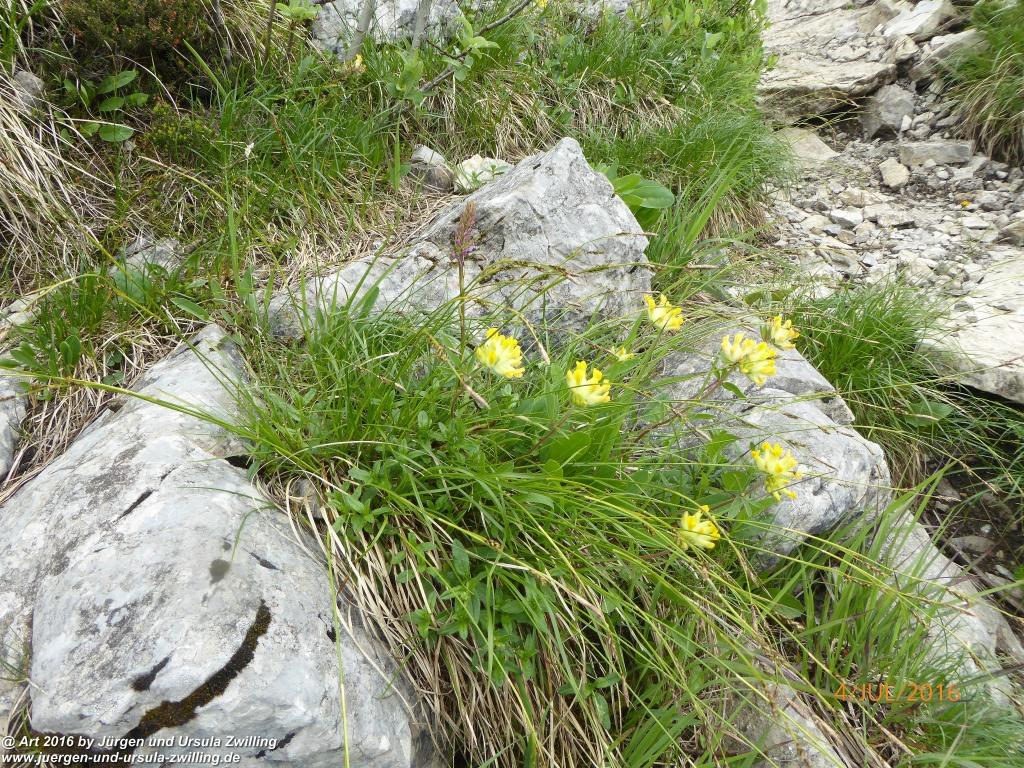 Gipfeltraumtour von Neuhaus auf die Brecherspitze und Josefsthaler Wasserfälle - Schliersee - Tegernsee