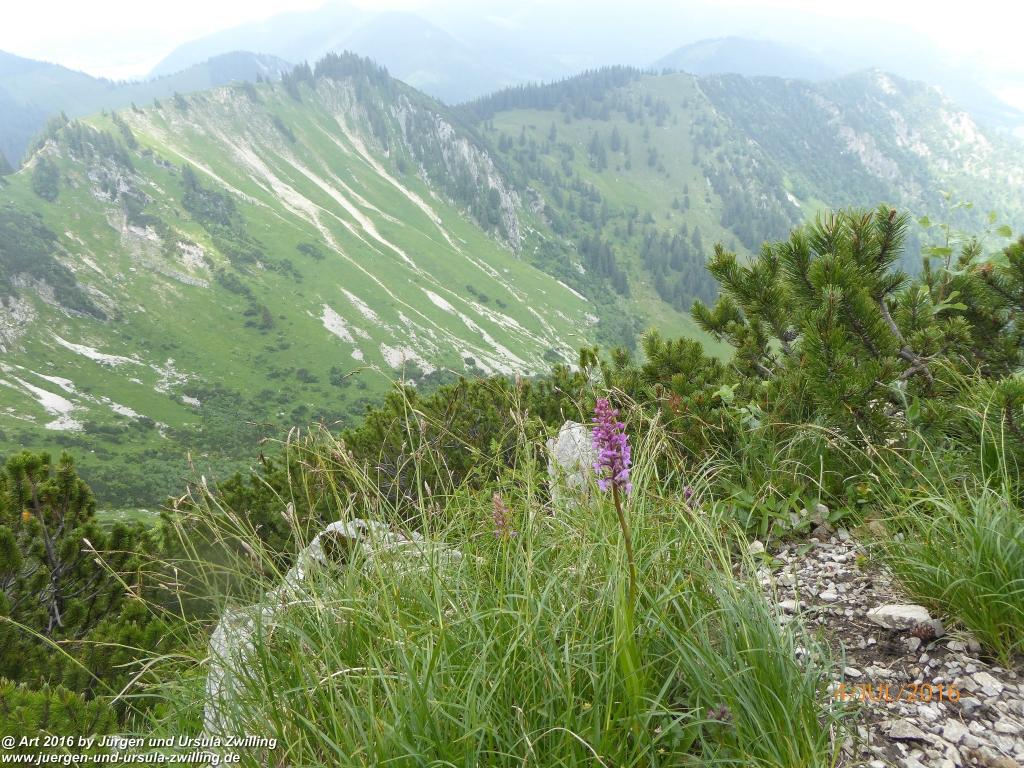 Gipfeltraumtour von Neuhaus auf die Brecherspitze und Josefsthaler Wasserfälle - Schliersee - Tegernsee