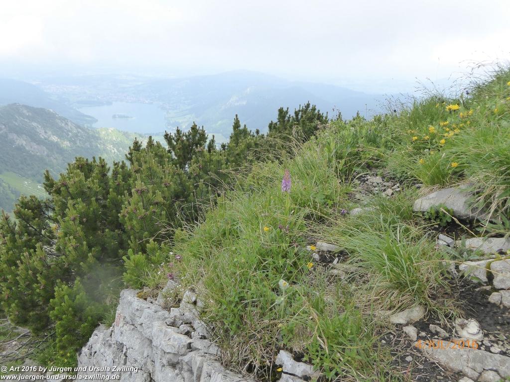 Gipfeltraumtour von Neuhaus auf die Brecherspitze und Josefsthaler Wasserfälle - Schliersee - Tegernsee