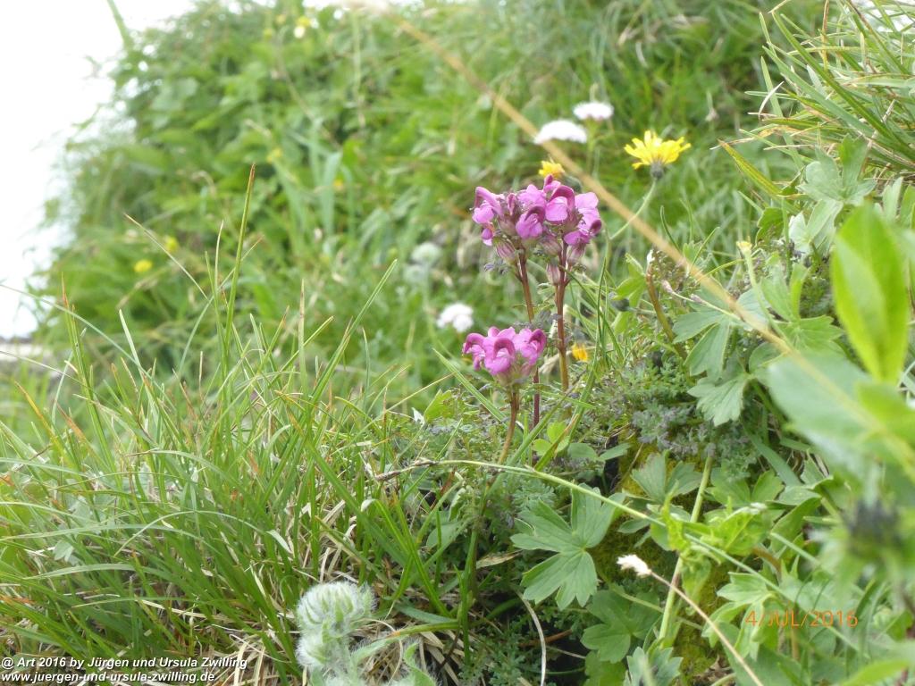 Gipfeltraumtour von Neuhaus auf die Brecherspitze und Josefsthaler Wasserfälle - Schliersee - Tegernsee