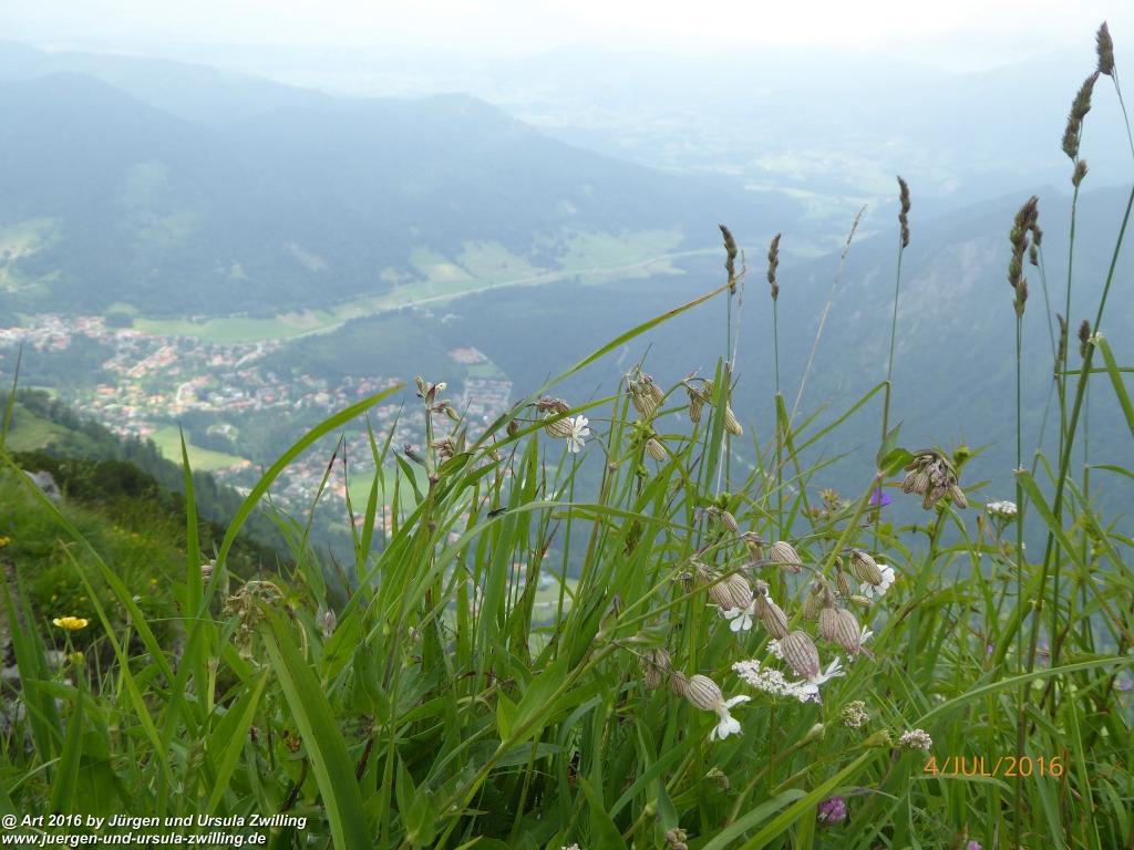 Gipfeltraumtour von Neuhaus auf die Brecherspitze und Josefsthaler Wasserfälle - Schliersee - Tegernsee