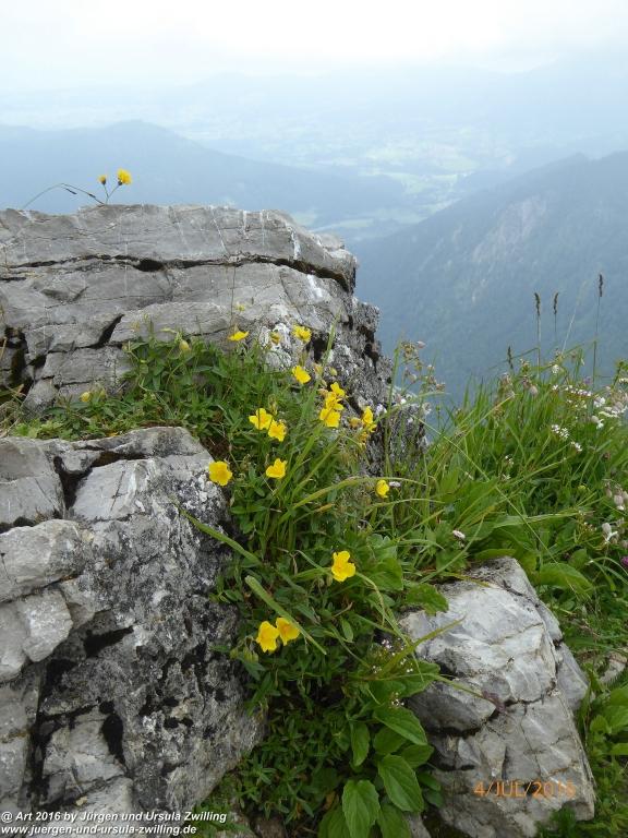Gipfeltraumtour von Neuhaus auf die Brecherspitze und Josefsthaler Wasserfälle - Schliersee - Tegernsee