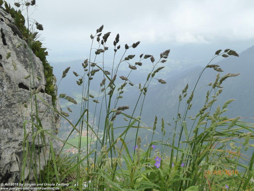 Gipfeltraumtour von Neuhaus auf die Brecherspitze und Josefsthaler Wasserfälle - Schliersee - Tegernsee