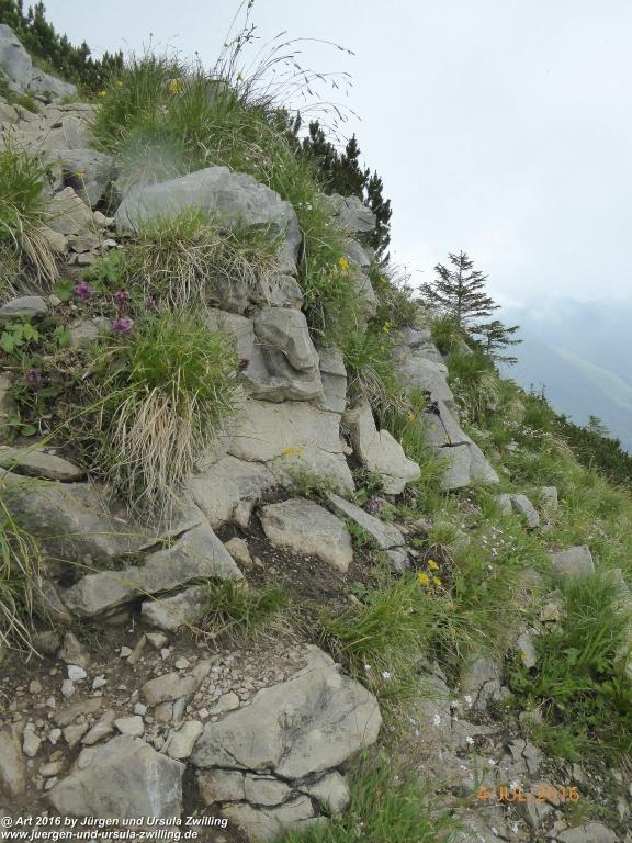 Gipfeltraumtour von Neuhaus auf die Brecherspitze und Josefsthaler Wasserfälle - Schliersee - Tegernsee