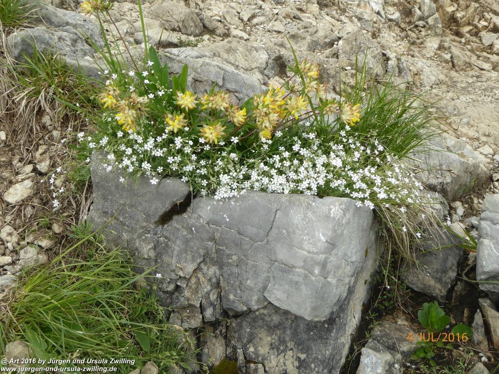 Gipfeltraumtour von Neuhaus auf die Brecherspitze und Josefsthaler Wasserfälle - Schliersee - Tegernsee