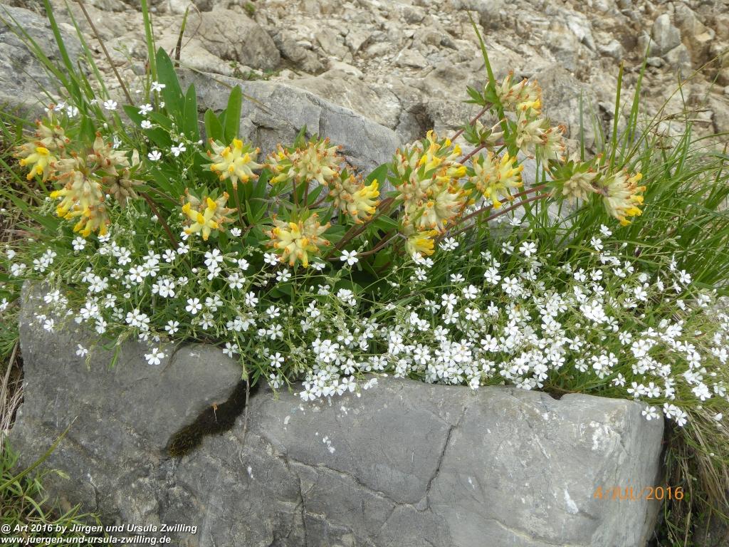 Gipfeltraumtour von Neuhaus auf die Brecherspitze und Josefsthaler Wasserfälle - Schliersee - Tegernsee