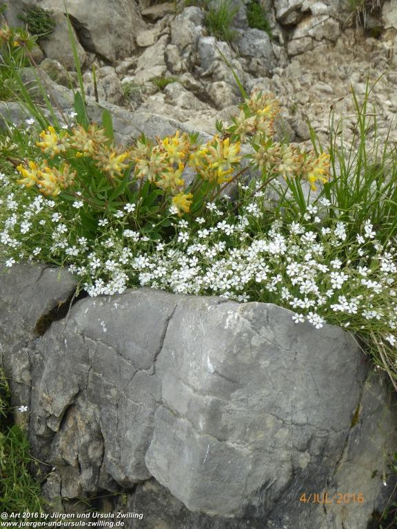 Gipfeltraumtour von Neuhaus auf die Brecherspitze und Josefsthaler Wasserfälle - Schliersee - Tegernsee