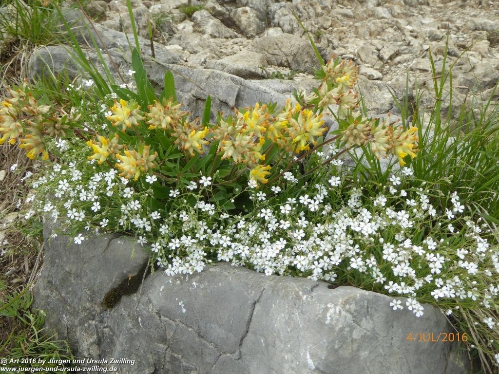 Gipfeltraumtour von Neuhaus auf die Brecherspitze und Josefsthaler Wasserfälle - Schliersee - Tegernsee
