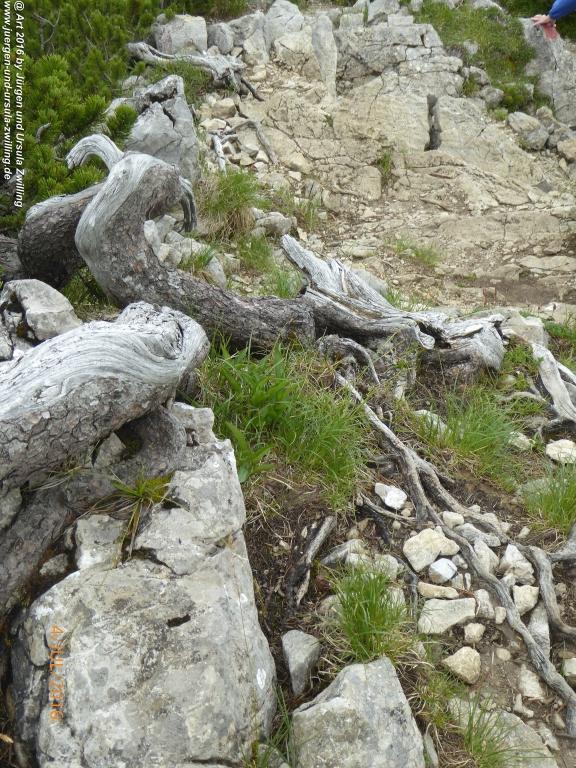 Gipfeltraumtour von Neuhaus auf die Brecherspitze und Josefsthaler Wasserfälle - Schliersee - Tegernsee
