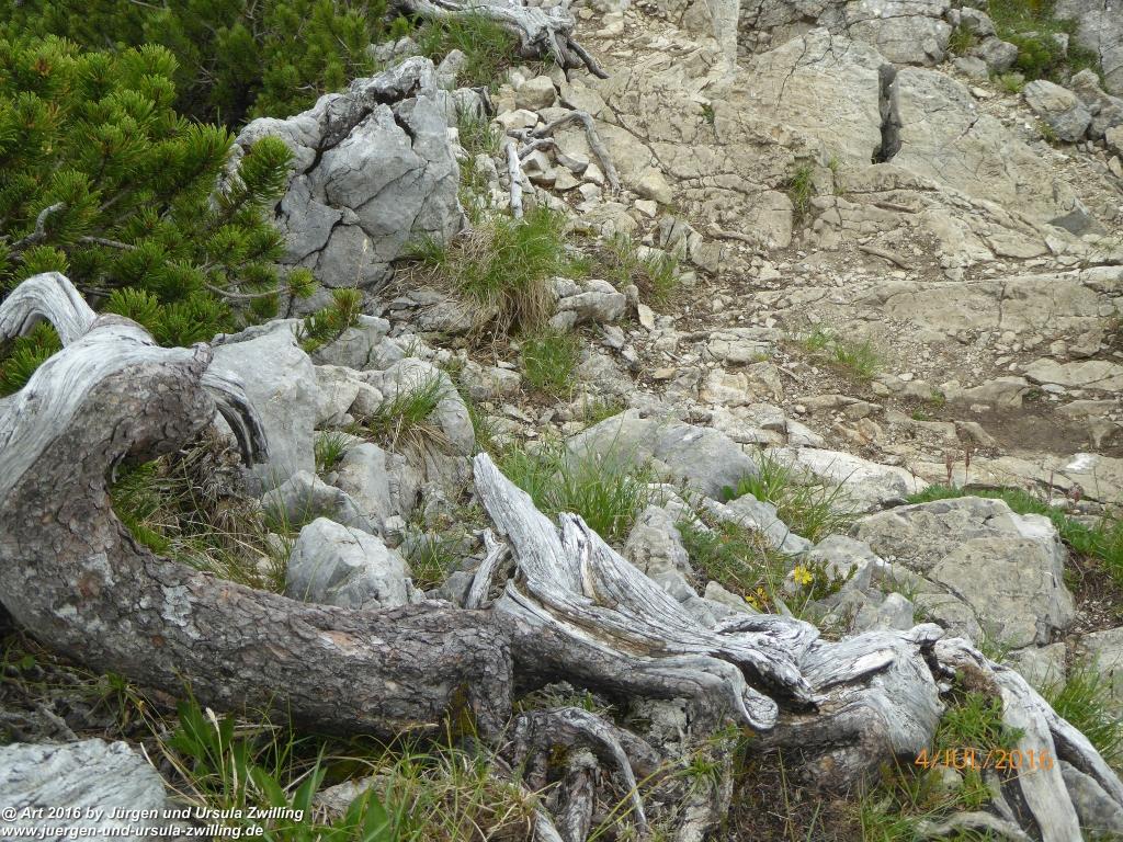 Gipfeltraumtour von Neuhaus auf die Brecherspitze und Josefsthaler Wasserfälle - Schliersee - Tegernsee