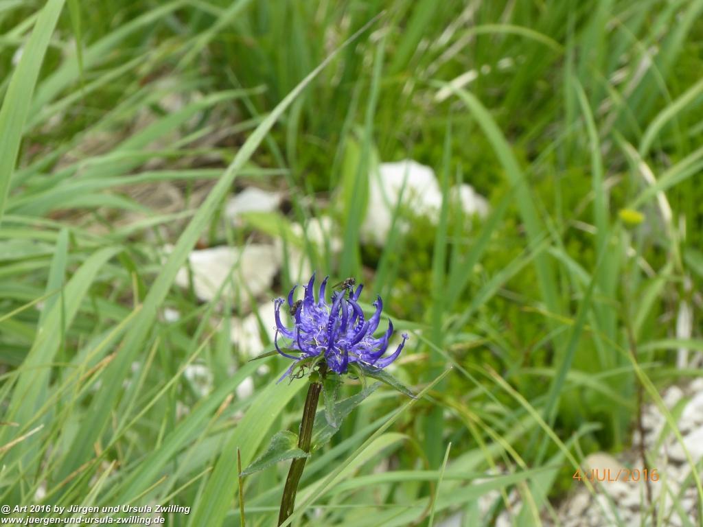 Gipfeltraumtour von Neuhaus auf die Brecherspitze und Josefsthaler Wasserfälle - Schliersee - Tegernsee