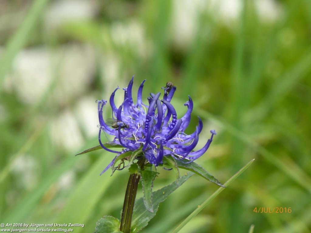 Gipfeltraumtour von Neuhaus auf die Brecherspitze und Josefsthaler Wasserfälle - Schliersee - Tegernsee